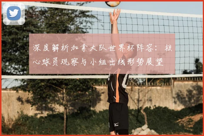 深度解析加拿大队世界杯阵容：核心球员观察与小组出线形势展望