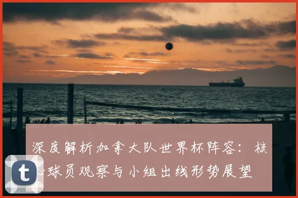 深度解析加拿大队世界杯阵容：核心球员观察与小组出线形势展望